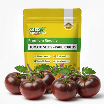Tomato Seeds – Paul Robeson