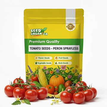 Tomato Seeds – Peron Sprayless