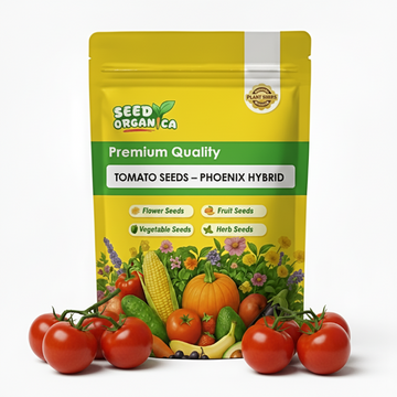 Tomato Seeds – Phoenix Hybrid