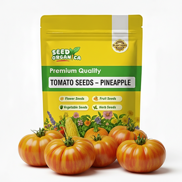 Tomato Seeds – Pineapple