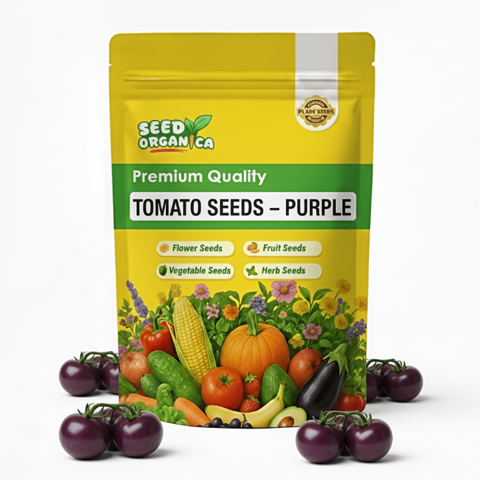 Tomato Seeds – Purple