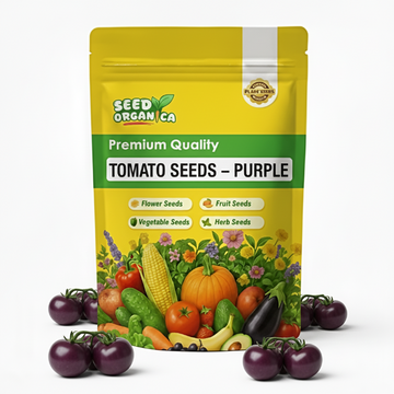 Tomato Seeds – Purple