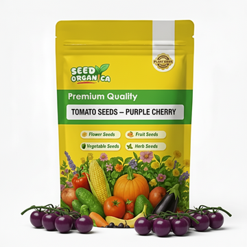 Tomato Seeds –  Purple Cherry