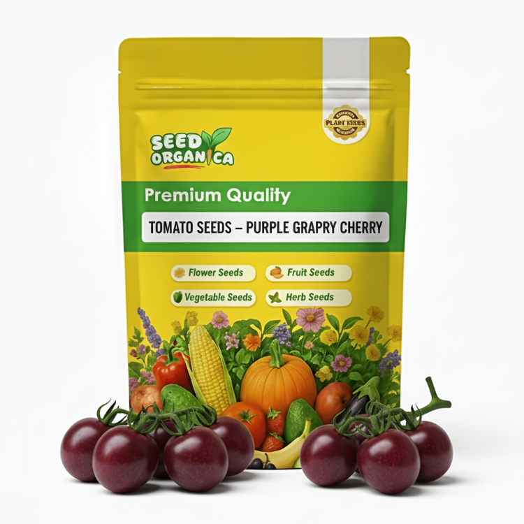 Tomato Seeds – Purple Grape Cherry