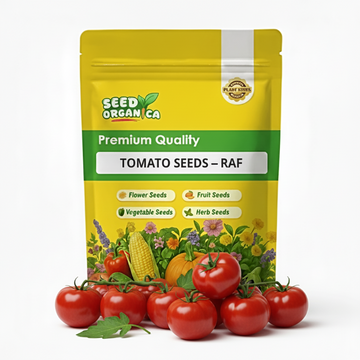 Tomato Seeds – RAF