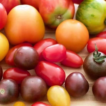 Tomato Seeds – Rainbow Cherry