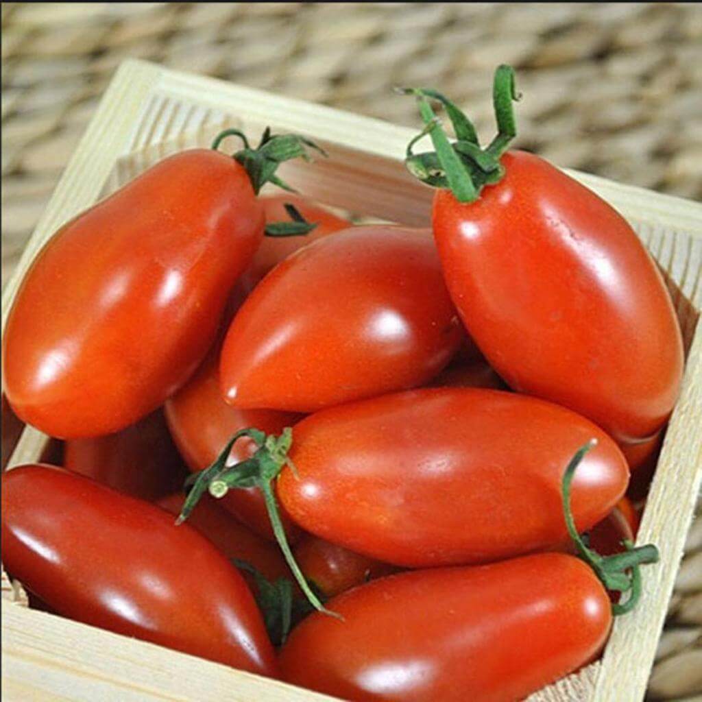 Tomato Seeds – Red Banana