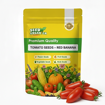 Tomato Seeds – Red Banana