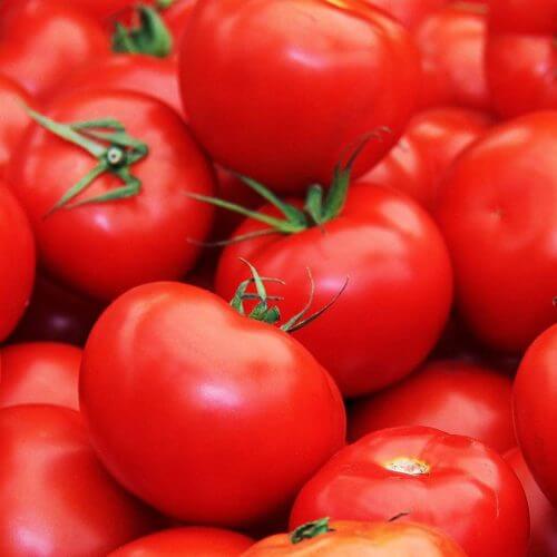 Tomato Seeds – Red Horizon