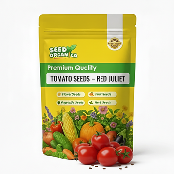 Tomato Seeds – Red Juliet