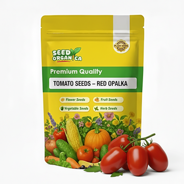 Tomato Seeds – Red Opalka