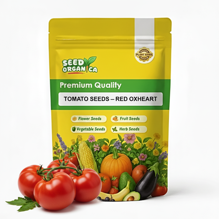 Tomato Seeds – Red Oxheart