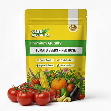 Tomato Seeds – Rosella