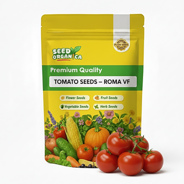 Tomato Seeds – Roma VF
