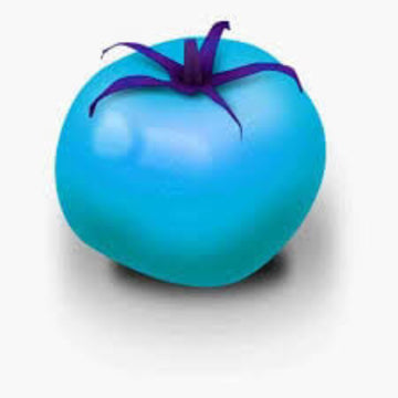 Tomato Seeds – Sky Blue