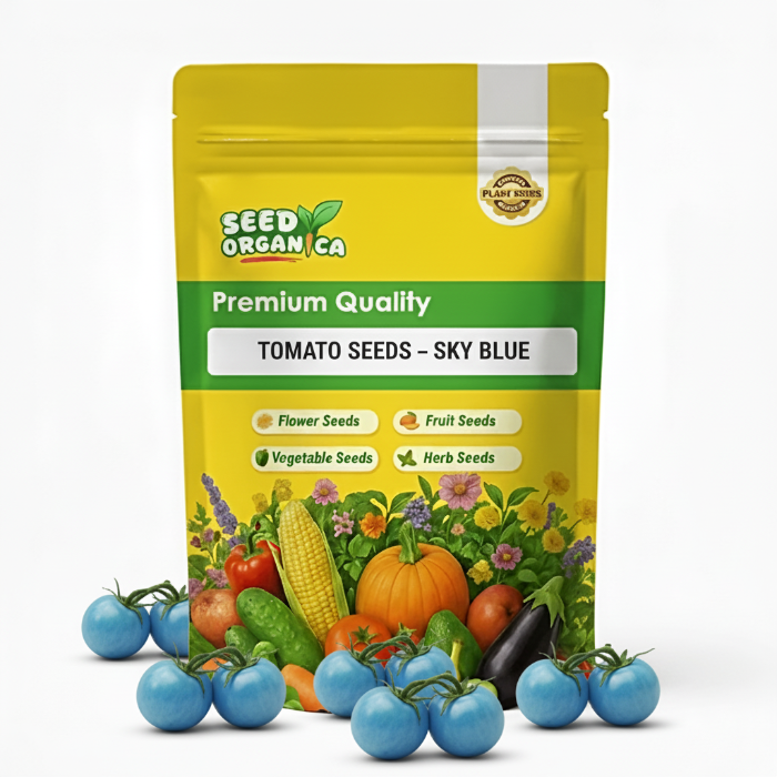 Tomato Seeds – Sky Blue