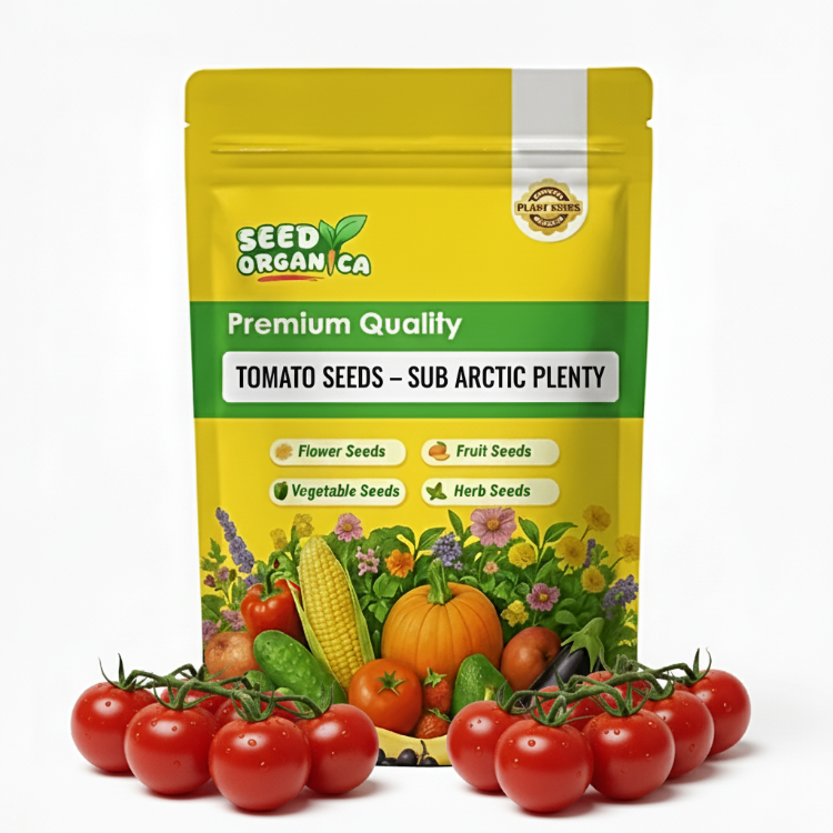 Tomato Seeds – Sub Arctic Plenty