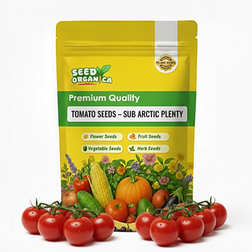 Tomato Seeds – Sub Arctic Plenty