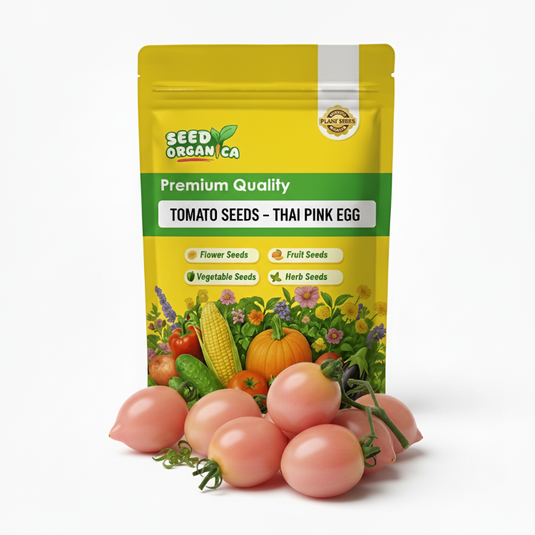 Tomato Seeds – Thai Pink Egg