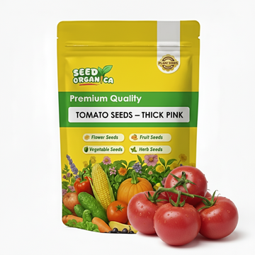 Tomato Seeds – Thick Pink