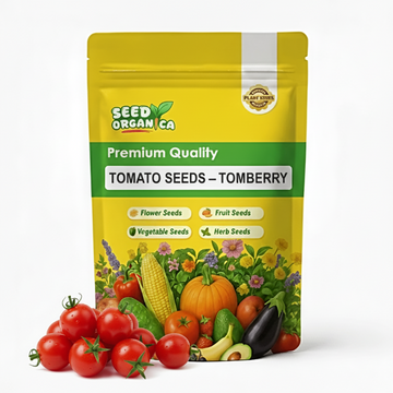 Tomato Seeds – Tomberry