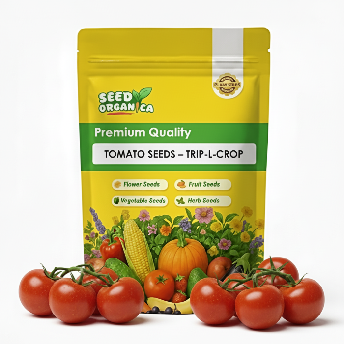 Tomato Seeds – Trip-L-Crop