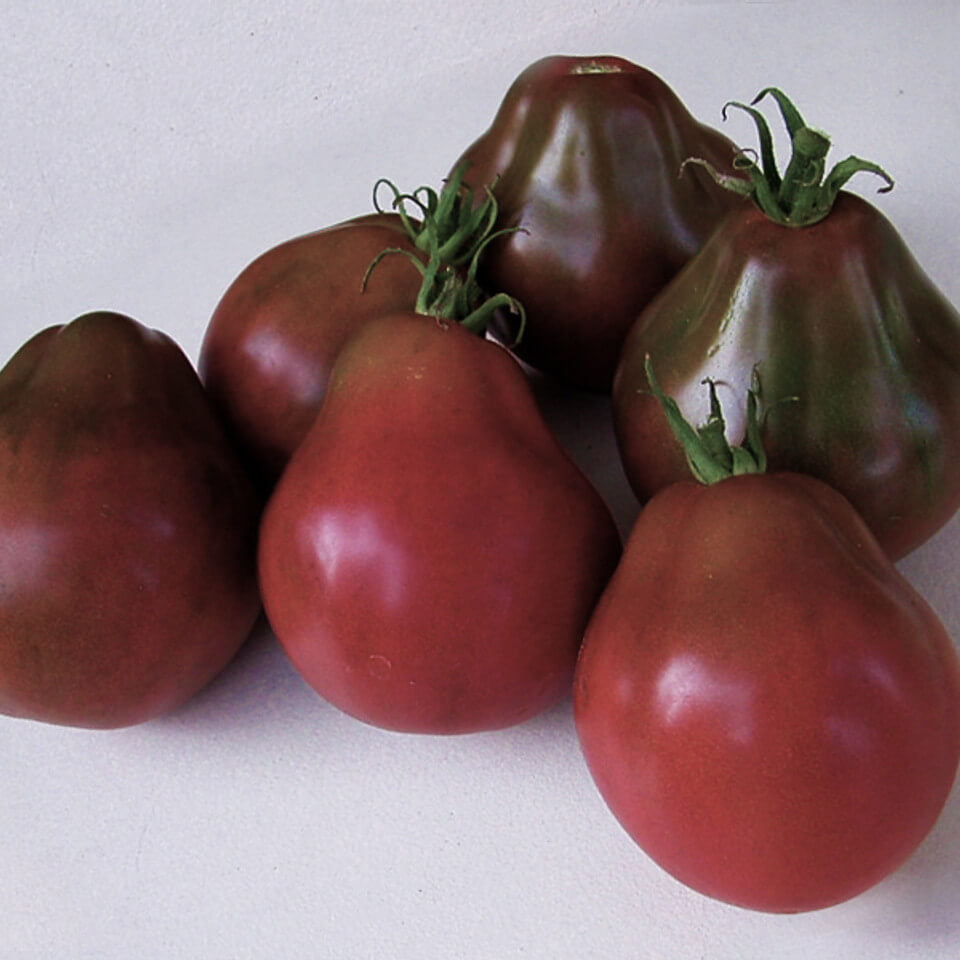 Tomato Seeds – Truffle Black
