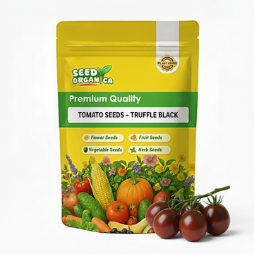 Tomato Seeds – Truffle Black