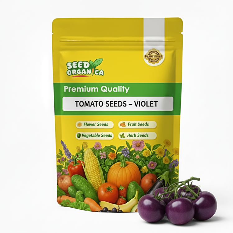 Tomato Seeds – Violet