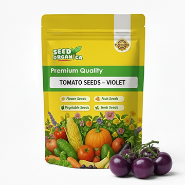 Tomato Seeds – Violet