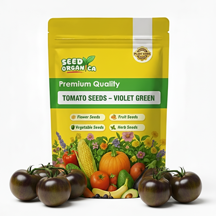 Tomato Seeds – Violet Green