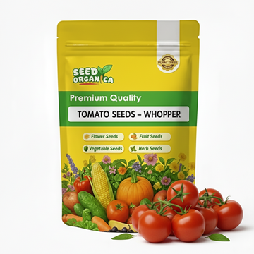 Tomato Seeds – Whopper