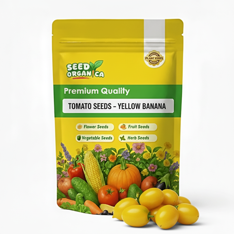 Tomato Seeds – Yellow Banana
