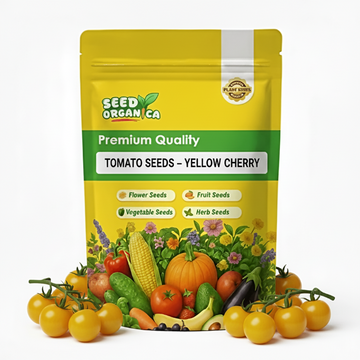 Tomato Seeds – Yellow Cherry