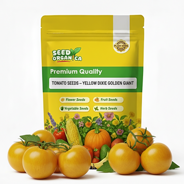 Tomato Seeds – Yellow Dixie Golden Giant