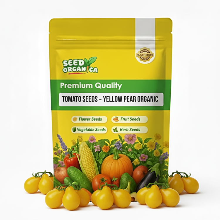 Tomato Seeds – Yellow Pear Organic