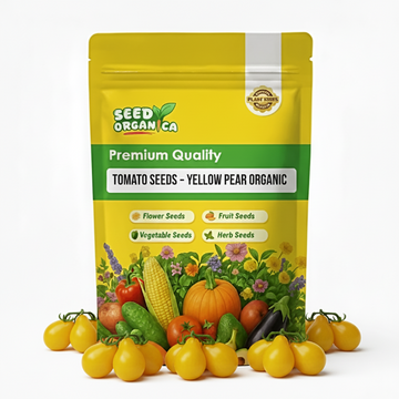 Tomato Seeds – Yellow Pear Organic