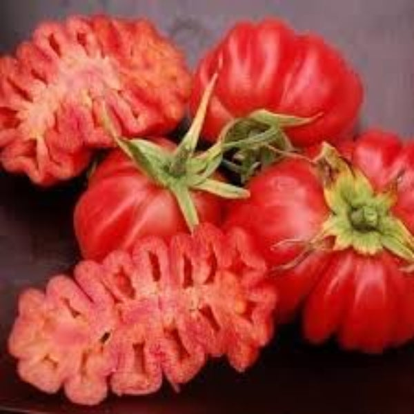 Tomato Seeds – Zapotec