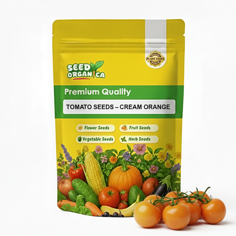 Tomato Seeds – Cream Orange