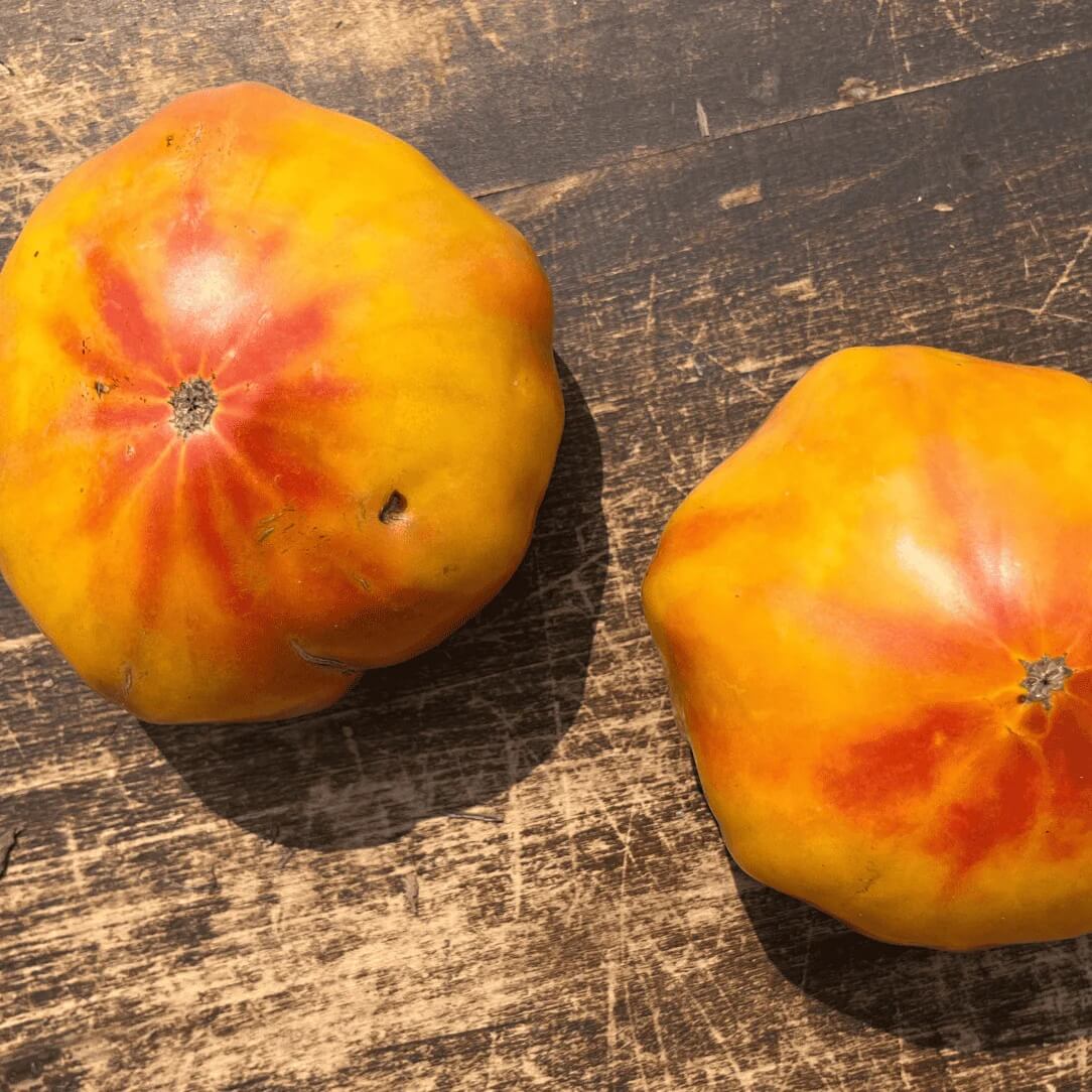 Tomato Seeds – Striped German Red & Yellow