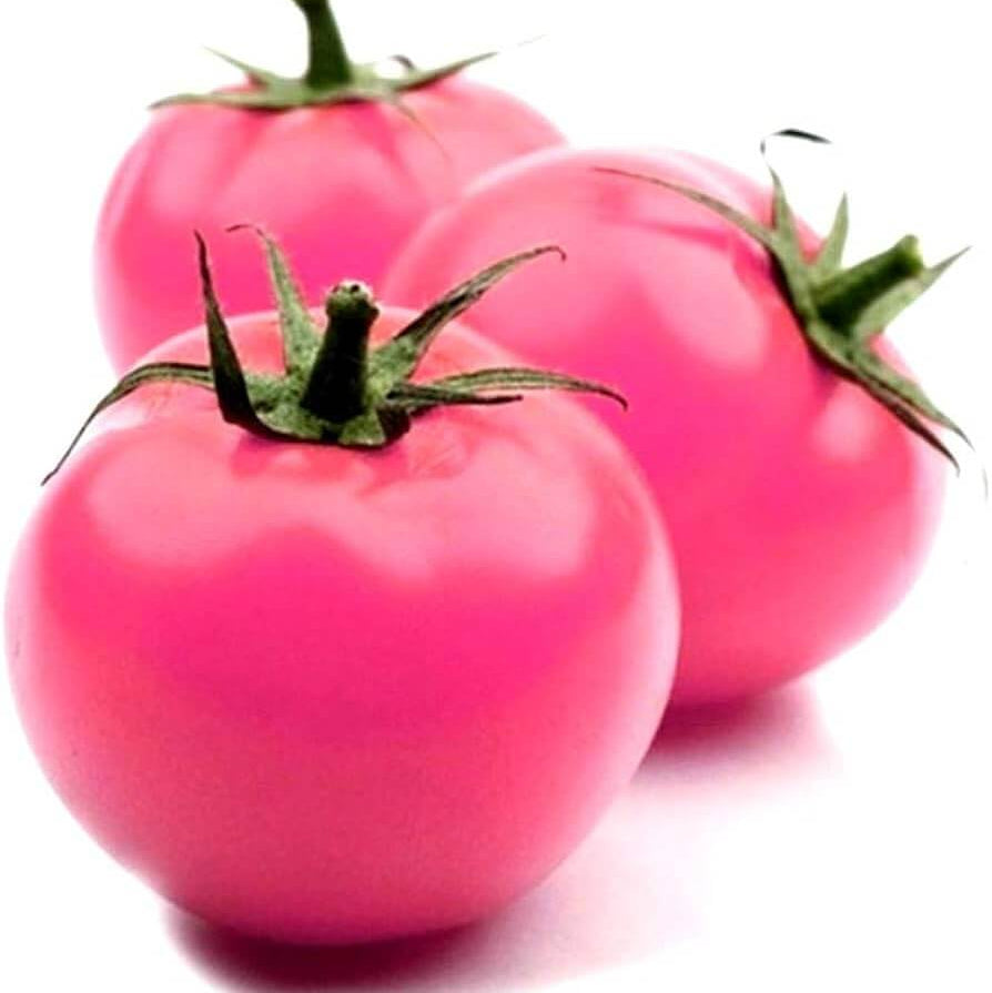 Tomato Seeds – Thick Pink