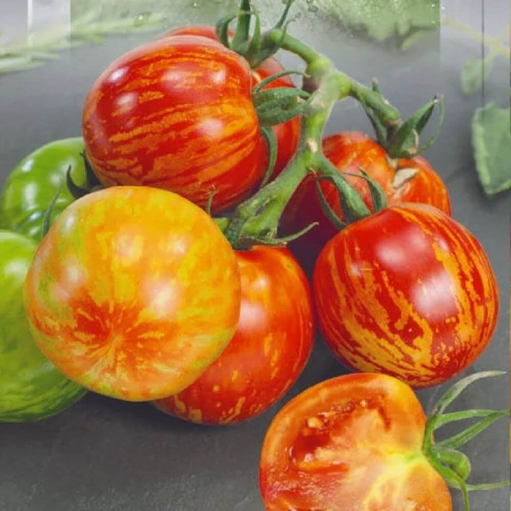 Tomato Seeds – Tigerella
