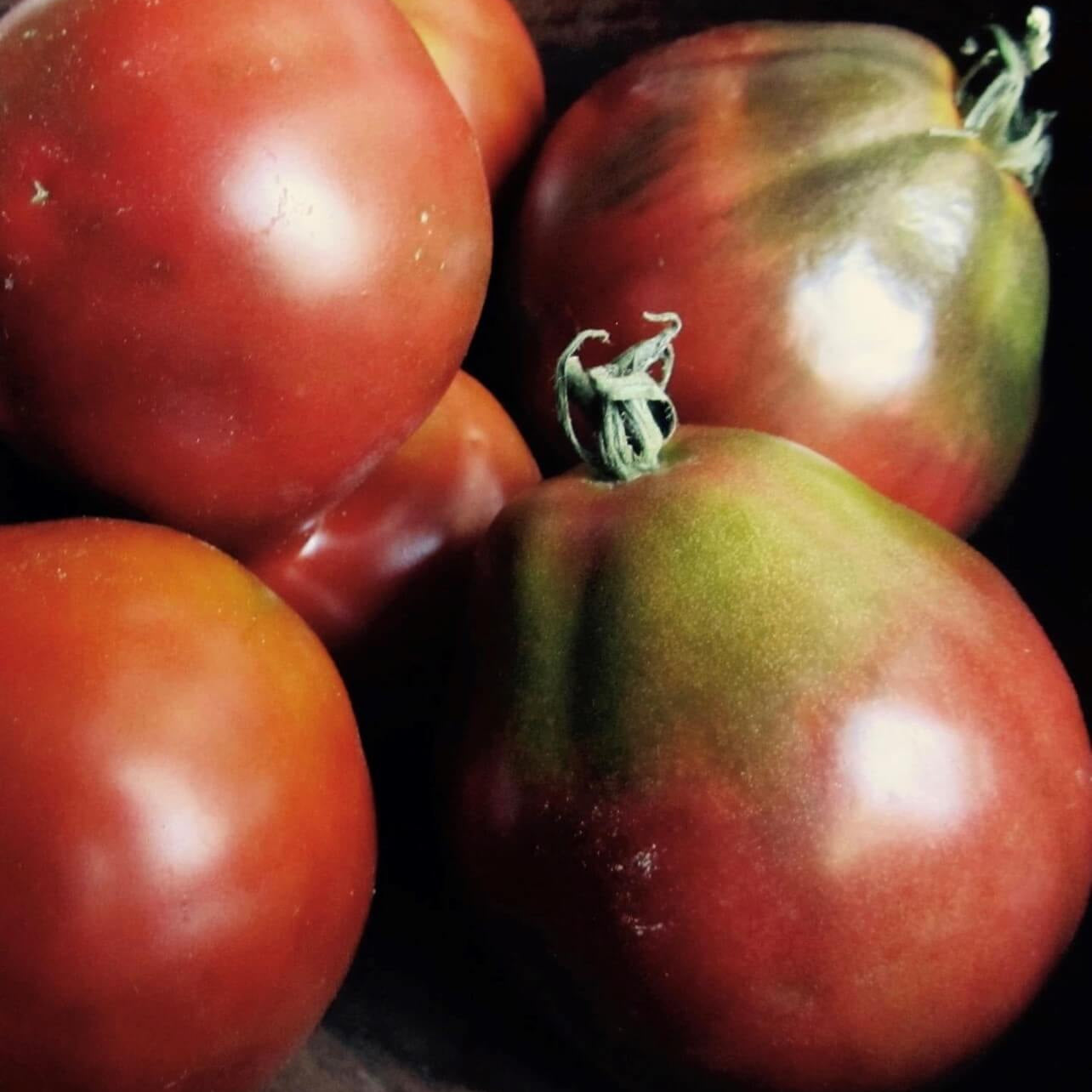 Tomato Seeds – Truffle Black