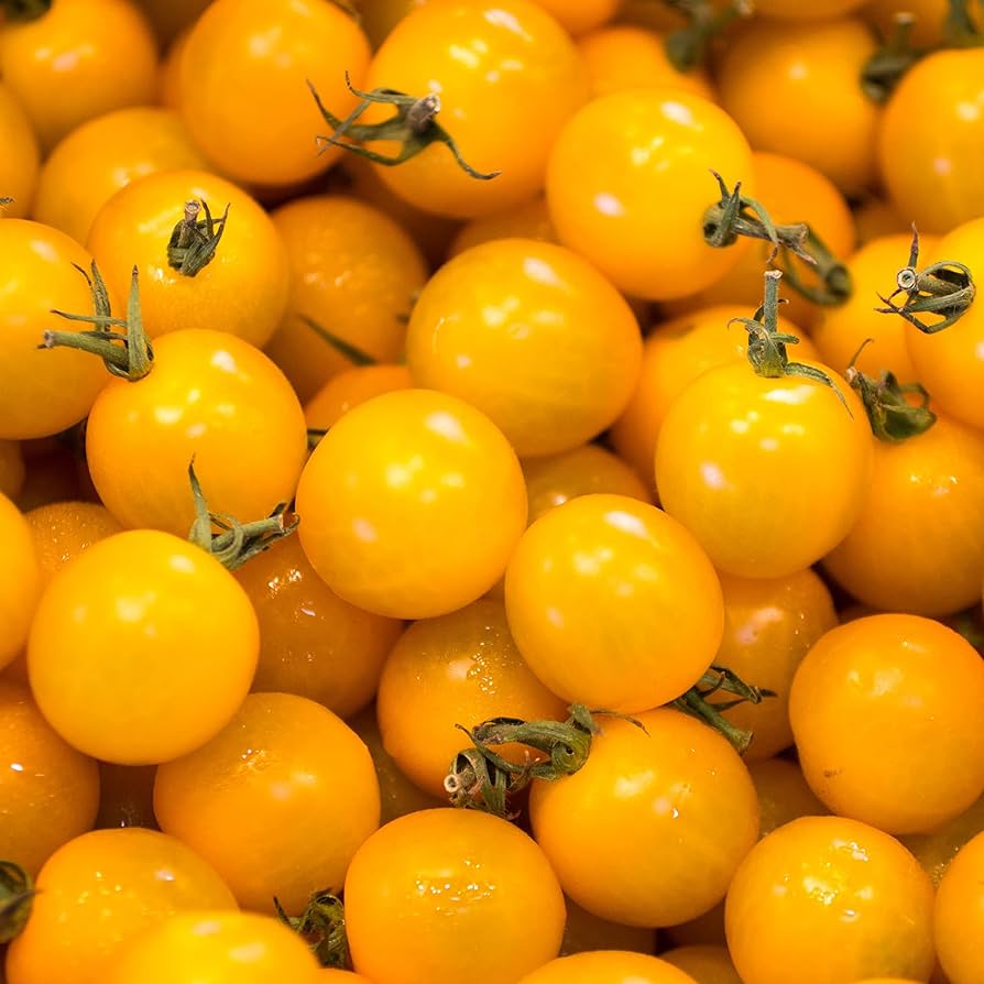 Tomato Seeds – Yellow Cherry