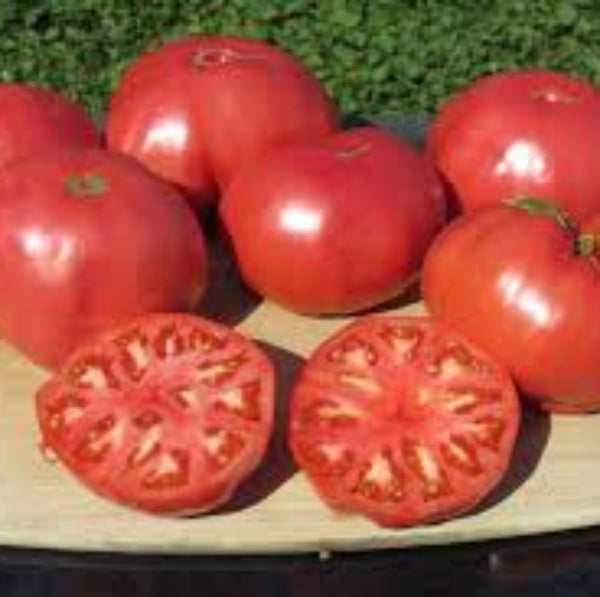 Tomato Seeds – Zac