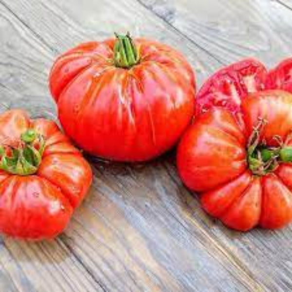 Tomato Seeds – Zac
