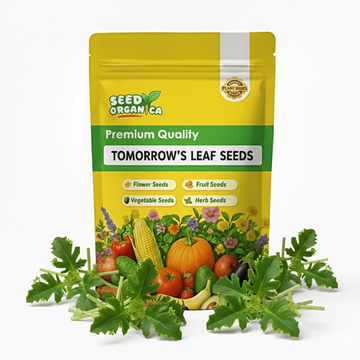 Tomorrow’s Leaf Seeds