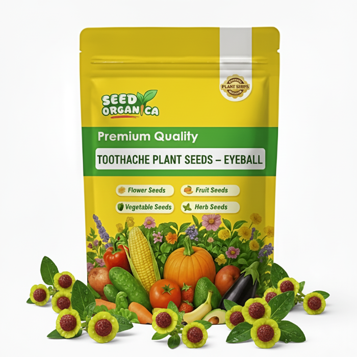 Toothache Plant Seeds – Eyeball