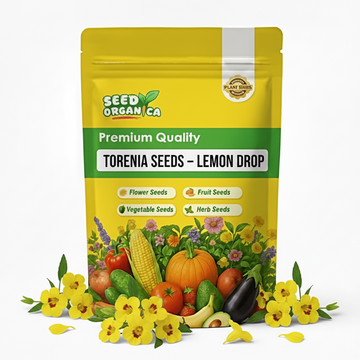 Torenia Seeds – Kauai