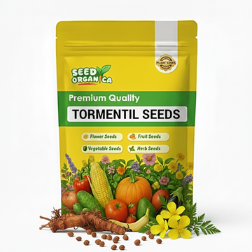 Tormentil Seeds